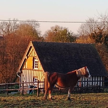 Gite A La Petite Bretonniere Saint-Pierre-Des-Ifs  Екстериор снимка